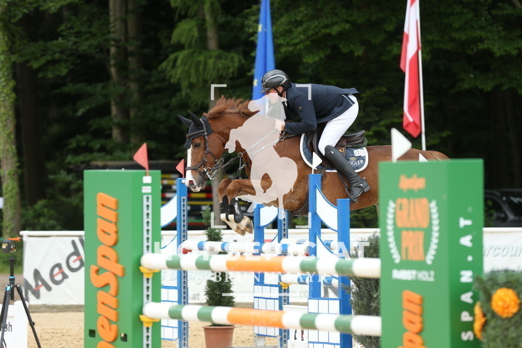 DL2Q2969 | Willkommen bei Brunnmayr - Design & Fotografie – Ihrem Spezialisten für Reitturniere und Pferdeveranstaltungen in Oberösterreich, Salzburg und Bayern! Seit über 17 Jahren sind wir leidenschaftlich dabei.