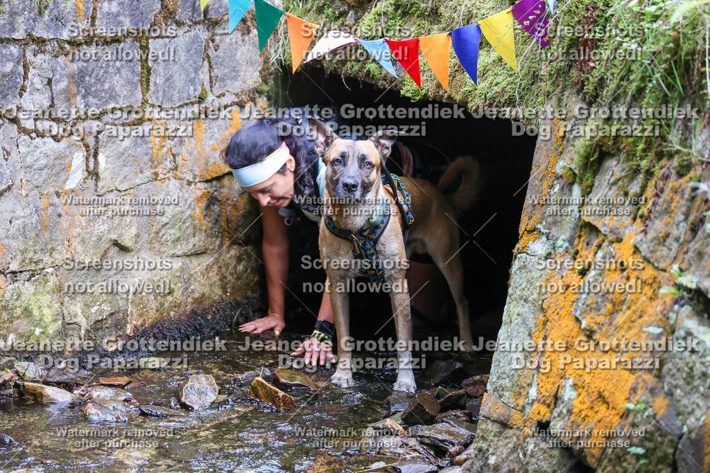 Dog Paparazzi -  TH 26-73 | Dog Paparazzi Jeanette Grottendiek Fotografie & Videografie - Realisiert mit Pictrs.com