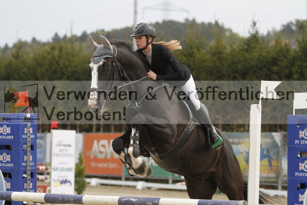 _MG_0766 | equestrian-live-com