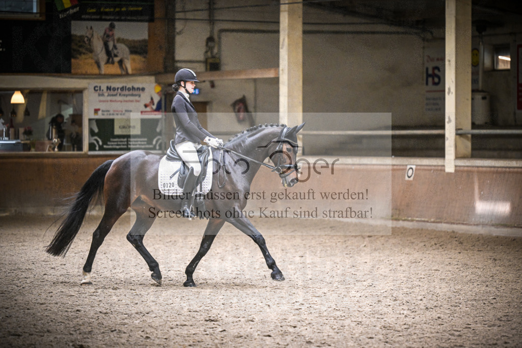 DOS_0493 | Entdecke hochwertige Reitturnierfotos von Foto Oger. Professionell, emotional und authentisch – jetzt Lieblingsmomente im Shop bestellen.Deutschlandweite Turnierfotografie. - Realisiert mit Pictrs.com