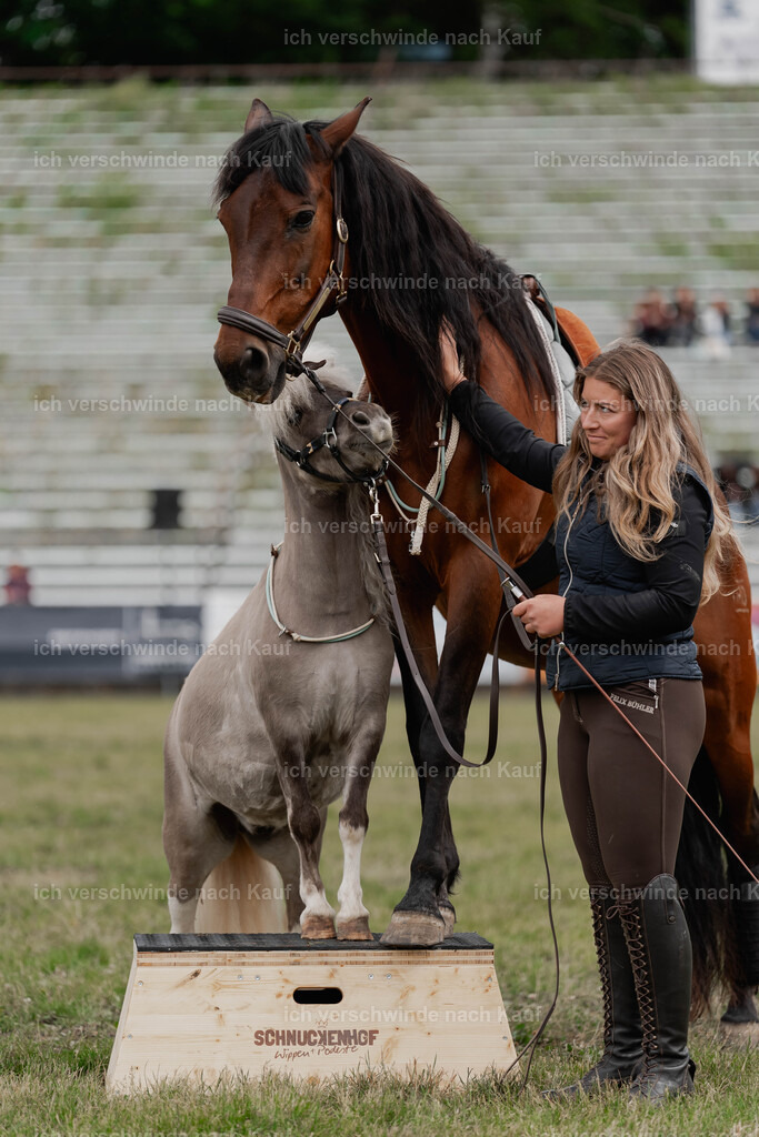 Showprogramm-126 | working equitationturnier fotograf videograf stoibphotography marixx film working equitation deutschland reitsport turnierfotografie eventfotografie equestrian events