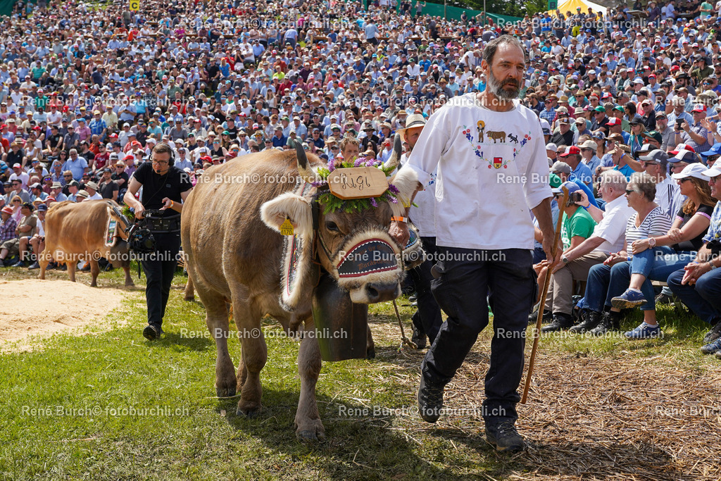 DSC02259 | René Burch leidenschaftlicher Fotograf aus Kerns in Obwalden.  Hier finden sie Sport, Landschaft und Natur Fotografie.
 - Realisiert mit Pictrs.com