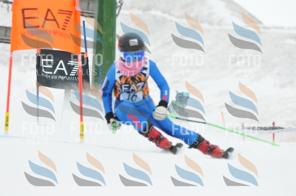 DSC_8780 | holidayphoto