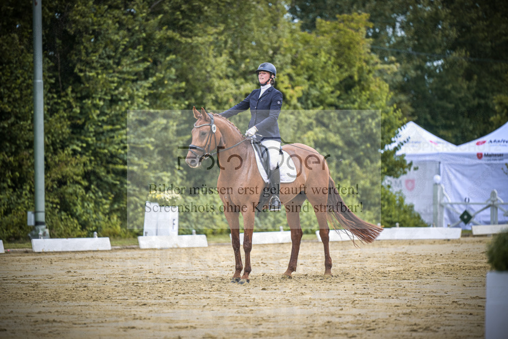 DOS_1134 | Entdecke hochwertige Reitturnierfotos von Foto Oger. Professionell, emotional und authentisch – jetzt Lieblingsmomente im Shop bestellen.Deutschlandweite Turnierfotografie. - Realisiert mit Pictrs.com