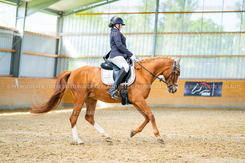 DSC07757 | Pferdegrafie