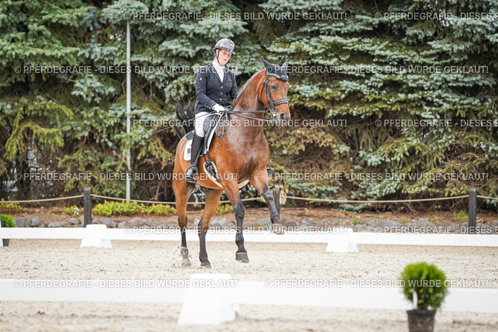 DSC08291 | Pferdegrafie