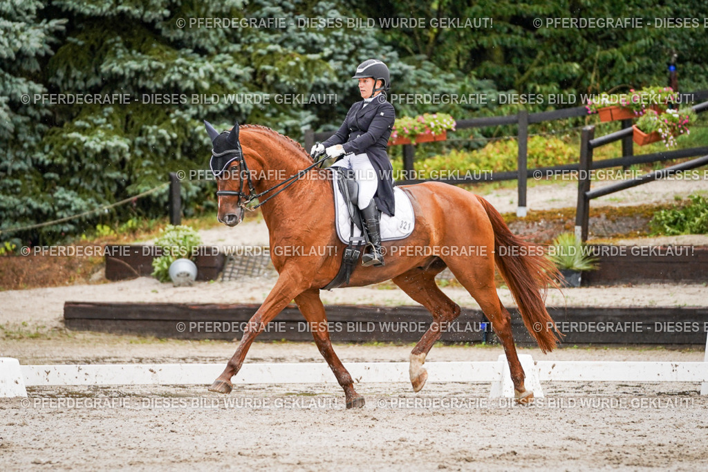 DSC09445 | Pferdegrafie