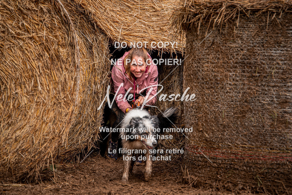 nelerasche_Hunsrück_So11-12_06 | nelerasche