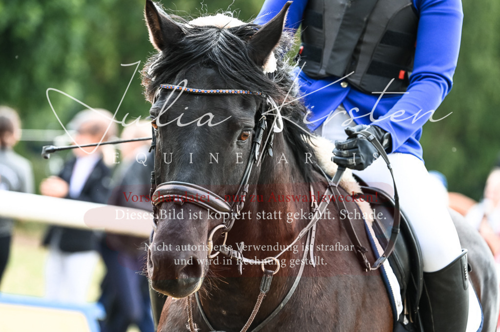 DSC_8988 | Pferde- und Turnierfotografie in Westsachsen. Pferdeportraits, Auftragszeichnungen und intuitive Kunst.