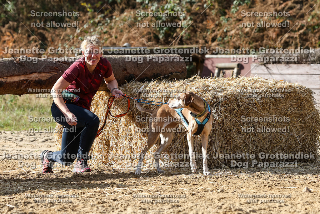Dog Paparazzi - Strongdog 10-25-5495 | Dog Paparazzi Jeanette Grottendiek Fotografie & Videografie - Realisiert mit Pictrs.com