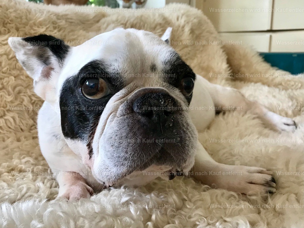 IMG_1369 | heikomoeller - Realisiert mit Pictrs.com