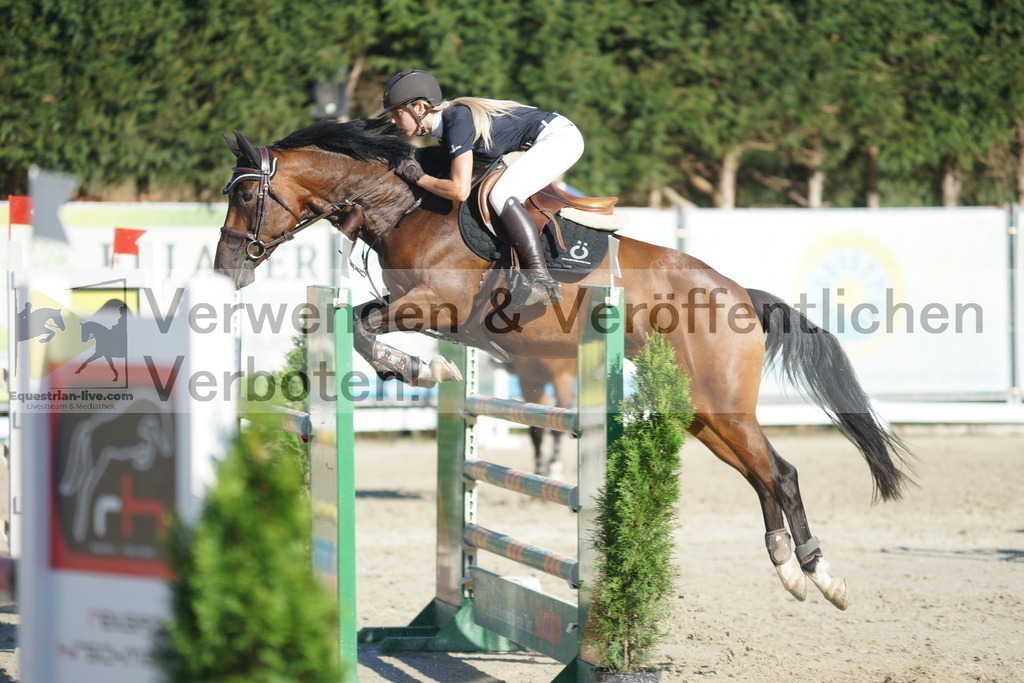 DSC01393 | equestrian-live-com
