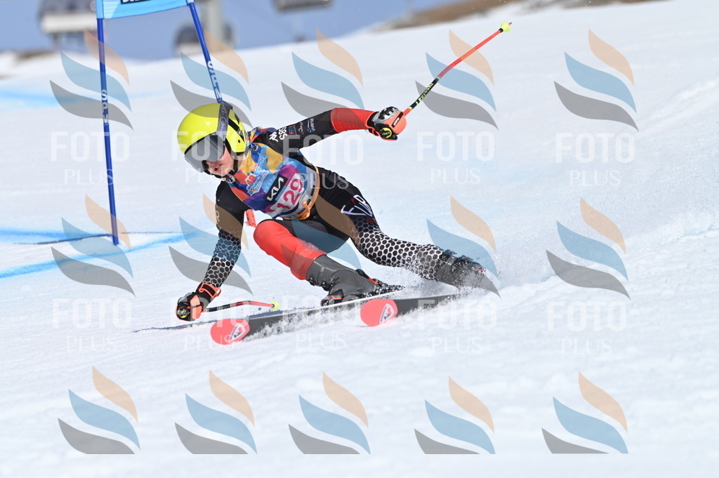 BGV_9972 | holidayphoto