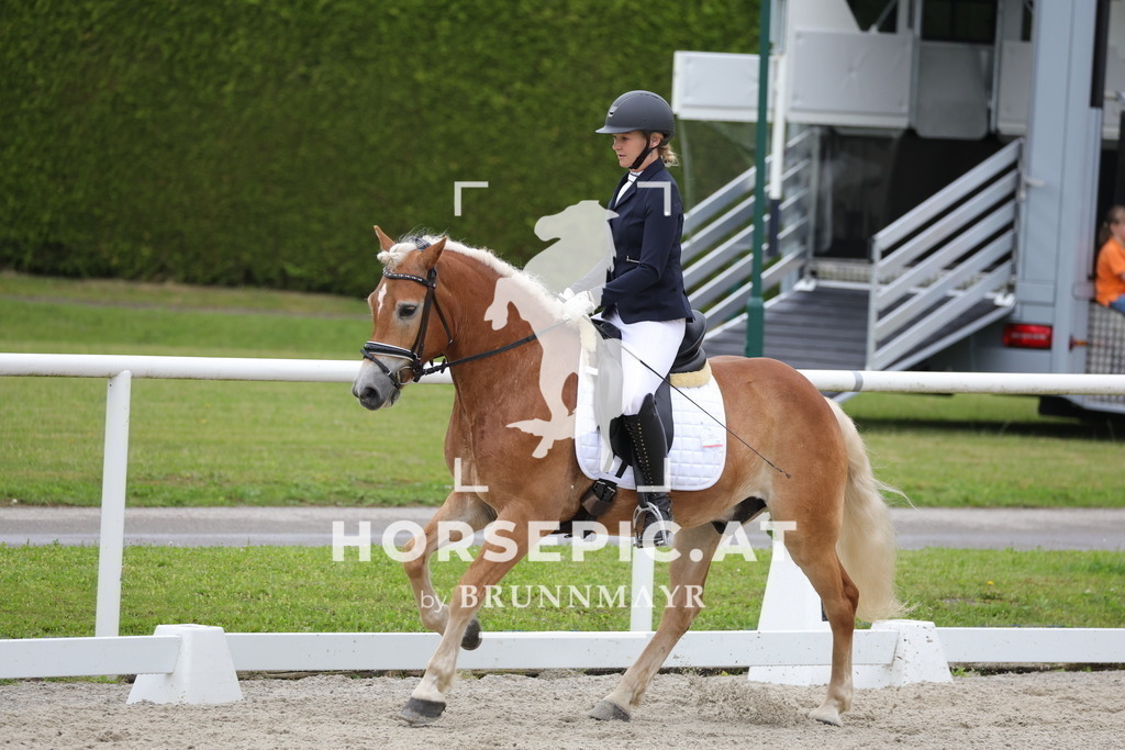 0P6A4856 | Willkommen bei Brunnmayr - Design & Fotografie – Ihrem Spezialisten für Reitturniere und Pferdeveranstaltungen in Oberösterreich, Salzburg und Bayern! Seit über 17 Jahren sind wir leidenschaftlich dabei.