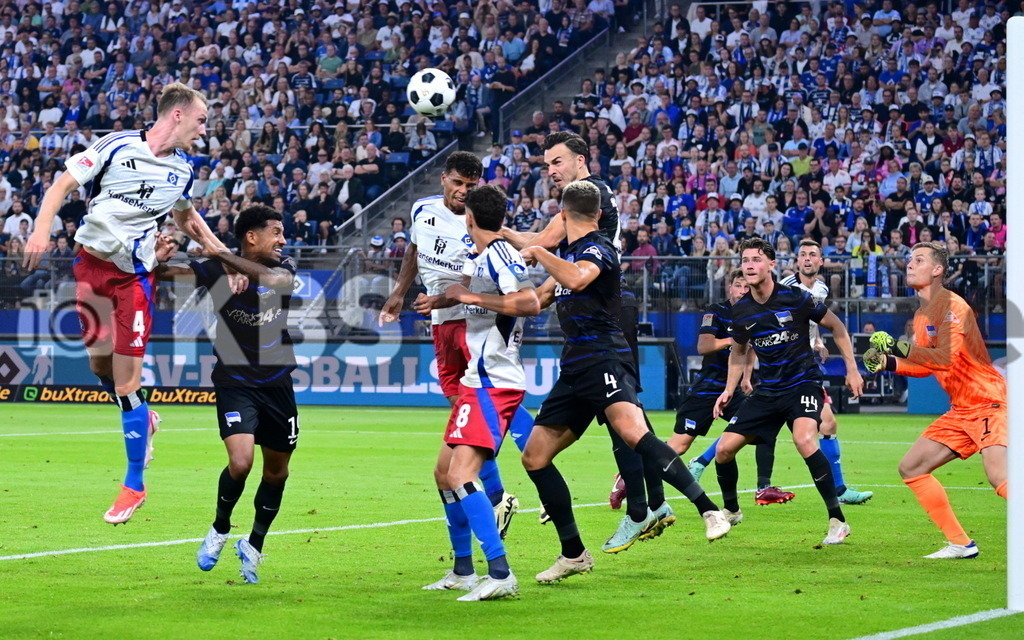 KBS Picture_HSV-HerthaBSC_054 | v.l. Schonlau Sebastian (HSV) , Dudziak Jeremy (Hertha BSC) , Elfadli Daniel (HSV) , Koenigsdoerffer Ransford-Yeboah (HSV) , Kempf Marc Oliver (Hertha BSC) , Tabakovic Haris (Hertha BSC) ,Sportplatz :  Volksparkstadion, - Realisiert mit Pictrs.com