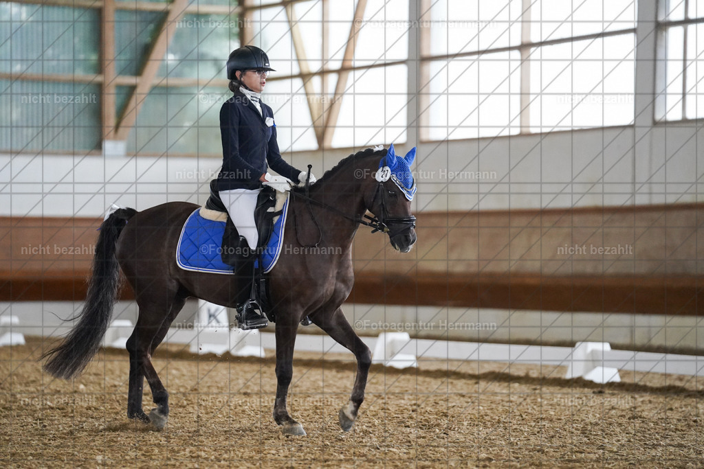 20240825-FAH09469 | Turnierbilder, Reitsportfotos, LAPO, Landesponyturnier, Turnierfotografen Bayern