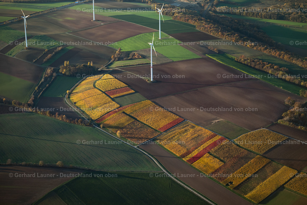 4042872 | Weinberg bei Buchbrunn