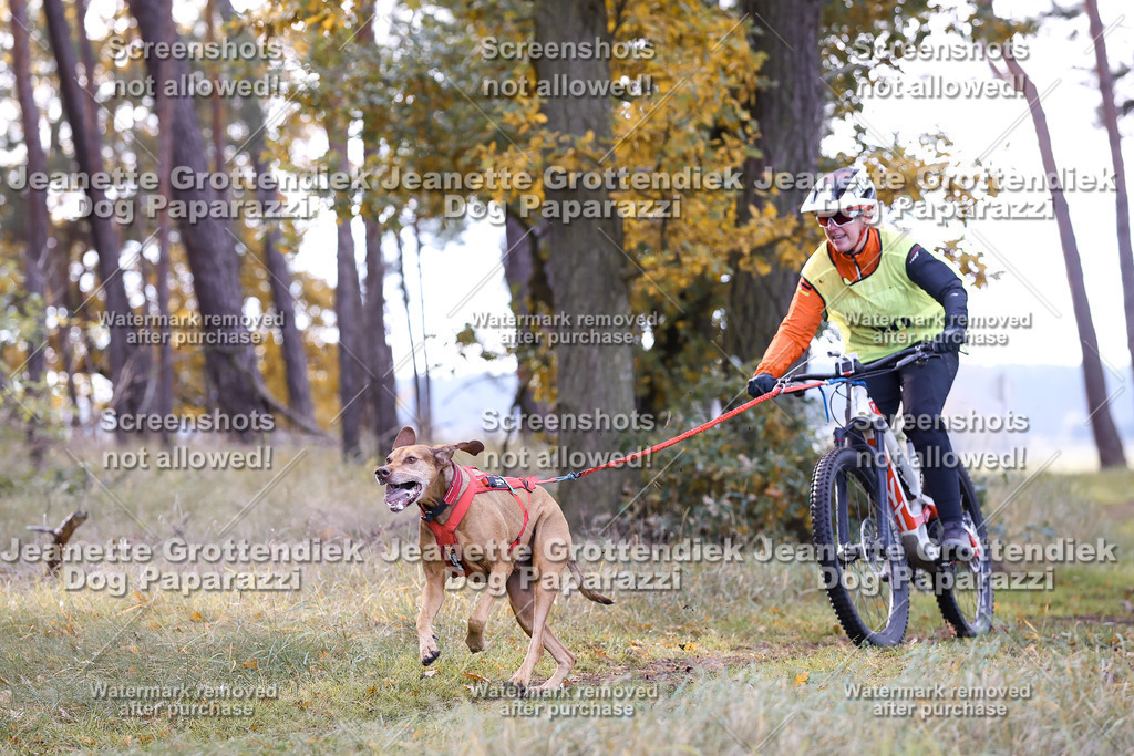 Dog Paparazzi - Elsholz 25 -98 | Dog Paparazzi Jeanette Grottendiek Fotografie & Videografie - Realisiert mit Pictrs.com