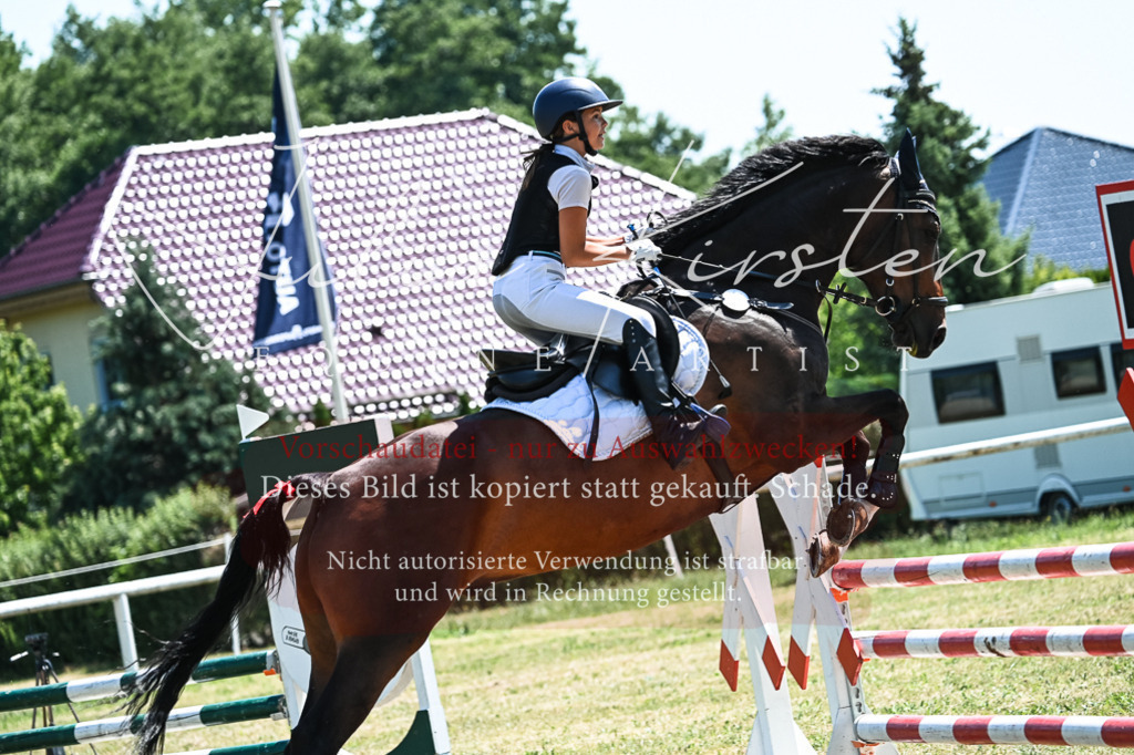 DSC_0523 | Pferde- und Turnierfotografie in Westsachsen. Pferdeportraits, Auftragszeichnungen und intuitive Kunst.