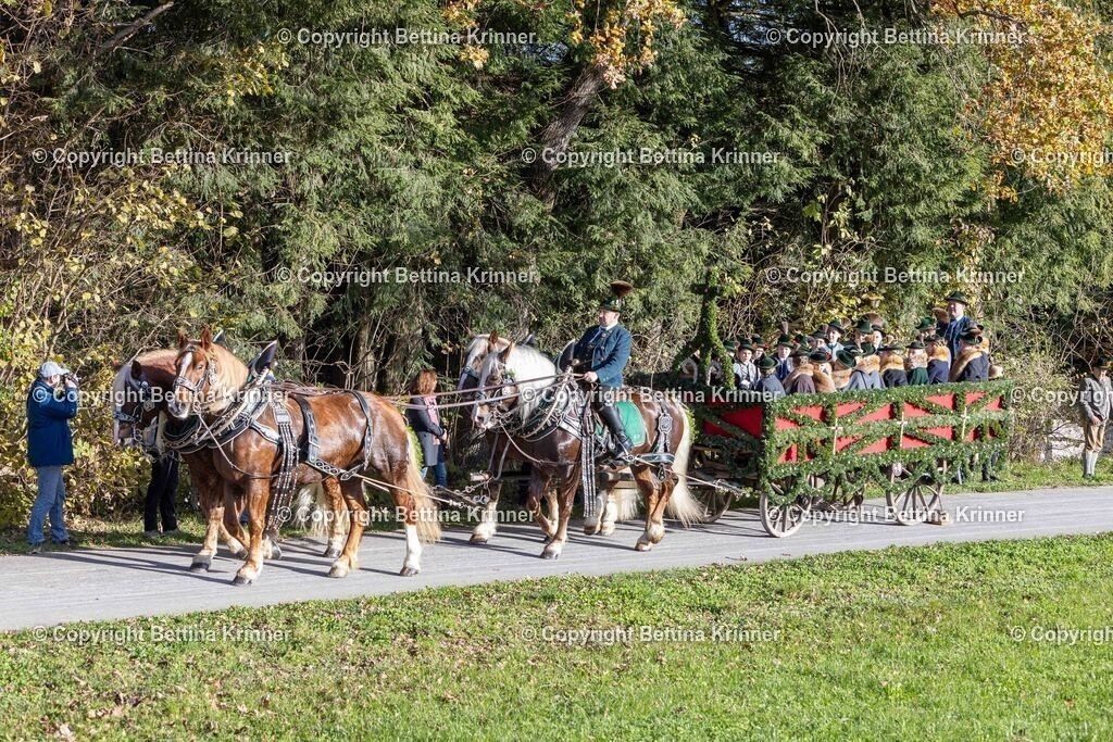 LBT24-152 | foto-bettina-krinner - Realisiert mit Pictrs.com