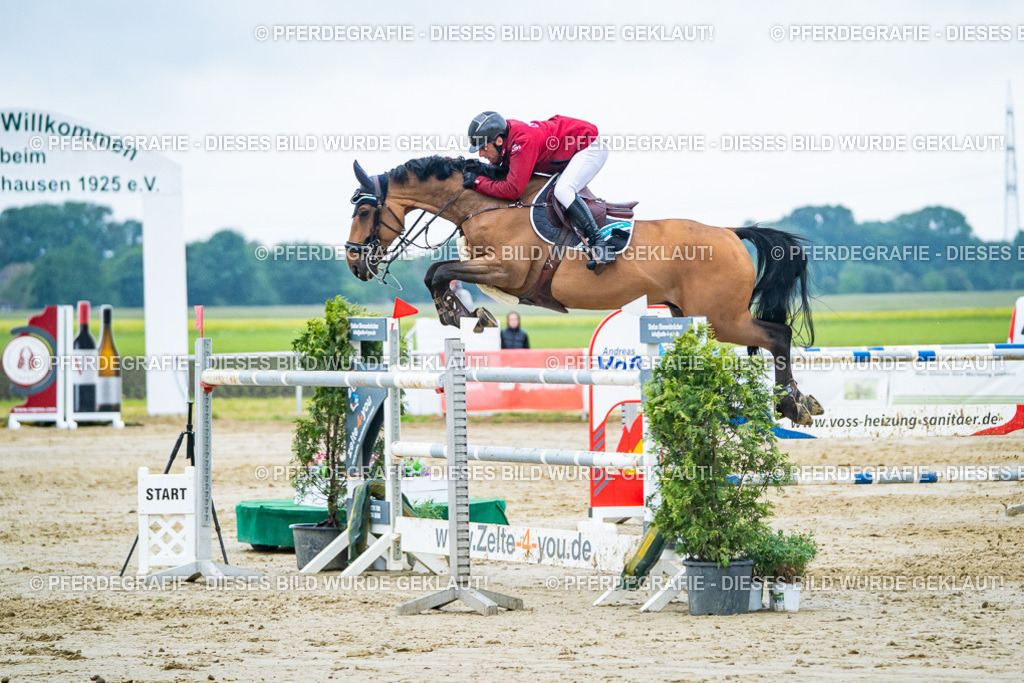 DSC00554 | Pferdegrafie