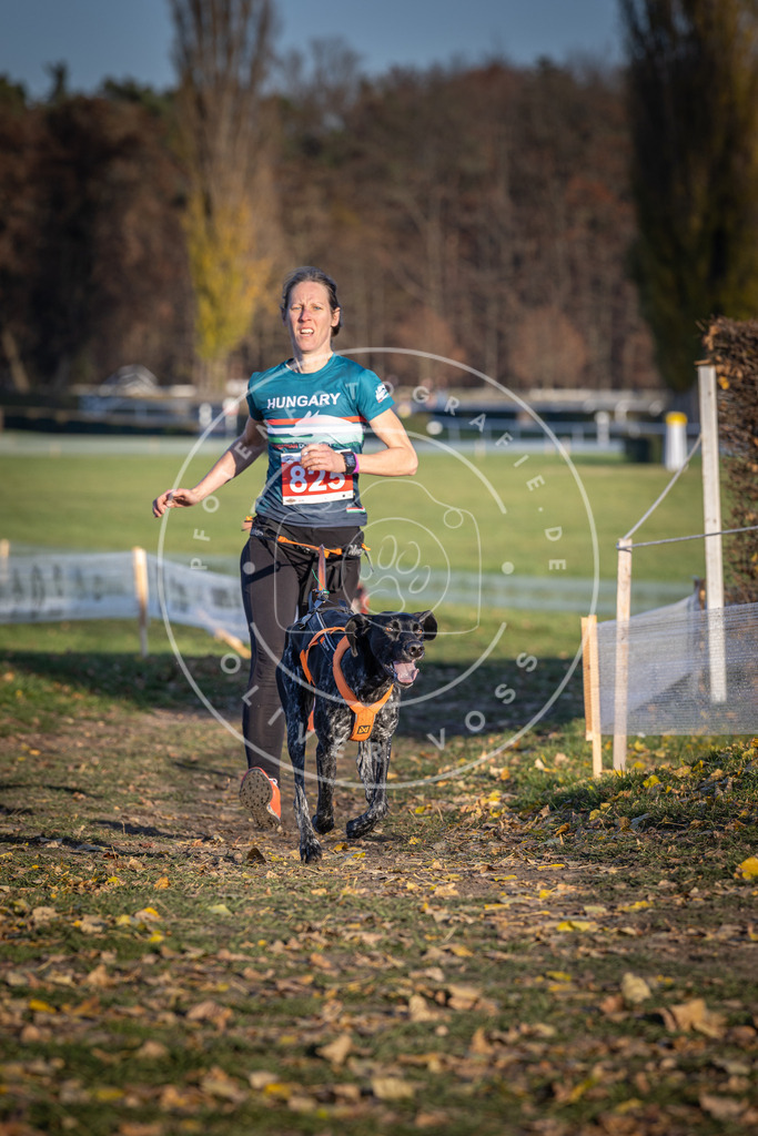CaniXpix_DV3A3333 | Hundefotografie, Tierfotograf, Pfotenfotografie, Fotoshooting Hund, Hunde Portrait, Hundesport, Hundeportraits, Heideshooting, Hunde, Sportfotograf, Hundefotograf, Turnierhundsport, THS,  - Realisiert mit Pictrs.com
