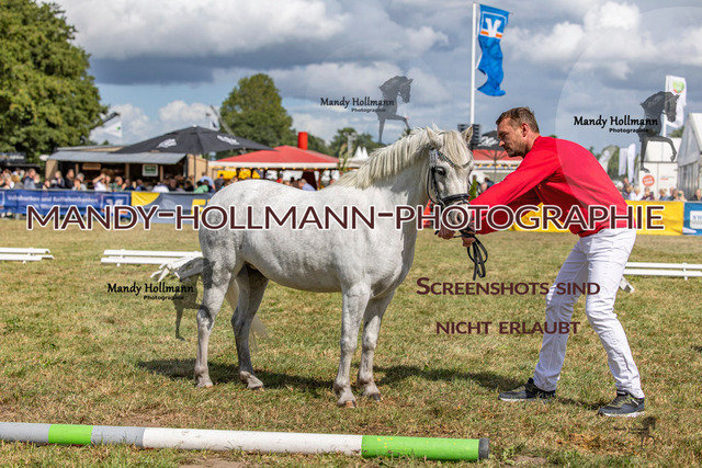 Wel (3 von 433) | mandyhollmannphotographie