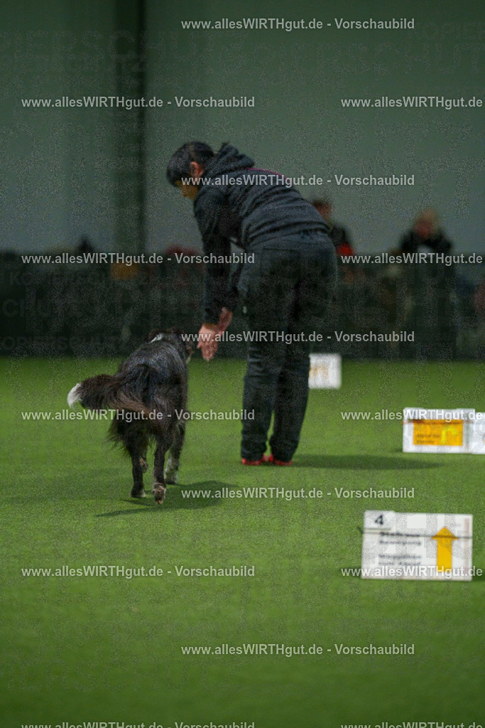 7R507269 | Professionelle Tierfotografie in Mönchengladbach von Daniel Wirth (allesWIRTHgut). Liebevolle & natürliche Bilder von Hunden & Katzen für unvergessliche Erinnerungen.