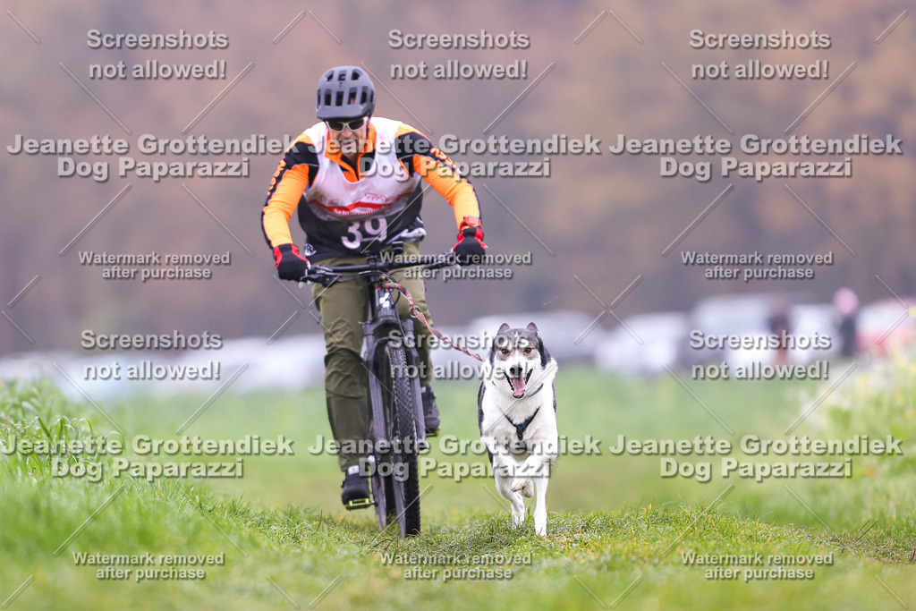 Dog Paparazzi - Visbeck 25 -198 | Dog Paparazzi Jeanette Grottendiek Fotografie & Videografie - Realisiert mit Pictrs.com