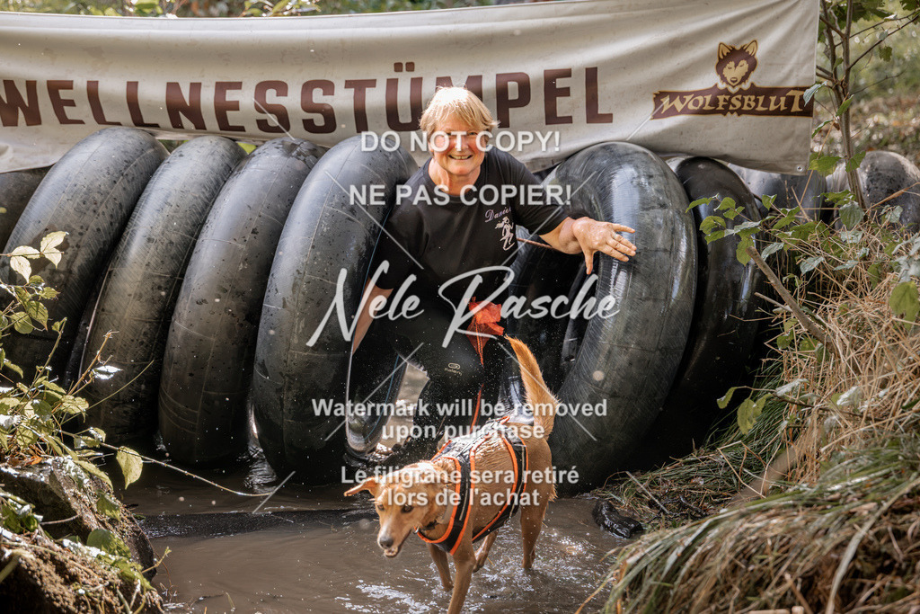 nelerasche_Hunsrück2026_Sa1400-1500_411 | nelerasche