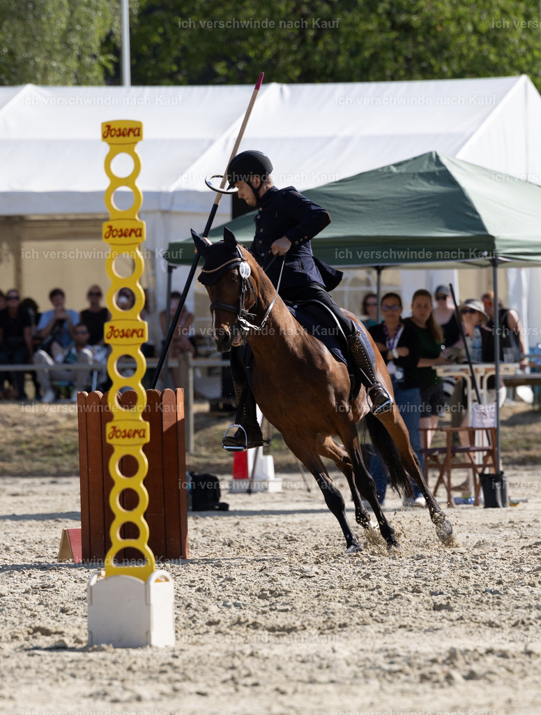 WS_SPEED_38_KerstinBernhardt-10 | working equitationturnier fotograf videograf stoibphotography marixx film working equitation deutschland reitsport turnierfotografie eventfotografie equestrian events