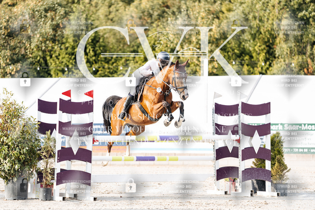 CK903327 | Turnierfotografie Pferdefotografie Trier Rheinland-Pfalz Pferdesport Reitsport Tierfotografie Sportfotografie Pferdevideo Pferdevideografie Equestrianvideography equestrianphotography  - Realisiert mit Pictrs.com