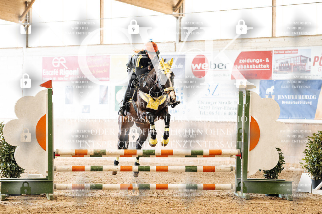 CK905399 | Turnierfotografie Pferdefotografie Trier Rheinland-Pfalz Pferdesport Reitsport Tierfotografie Sportfotografie Pferdevideo Pferdevideografie Equestrianvideography equestrianphotography  - Realized with Pictrs.com