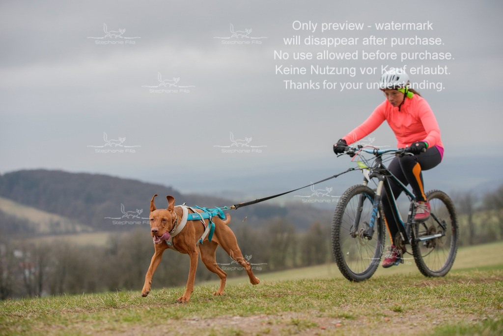 BikeSA-397 | stephaniefillaphotographie - Realisiert mit Pictrs.com