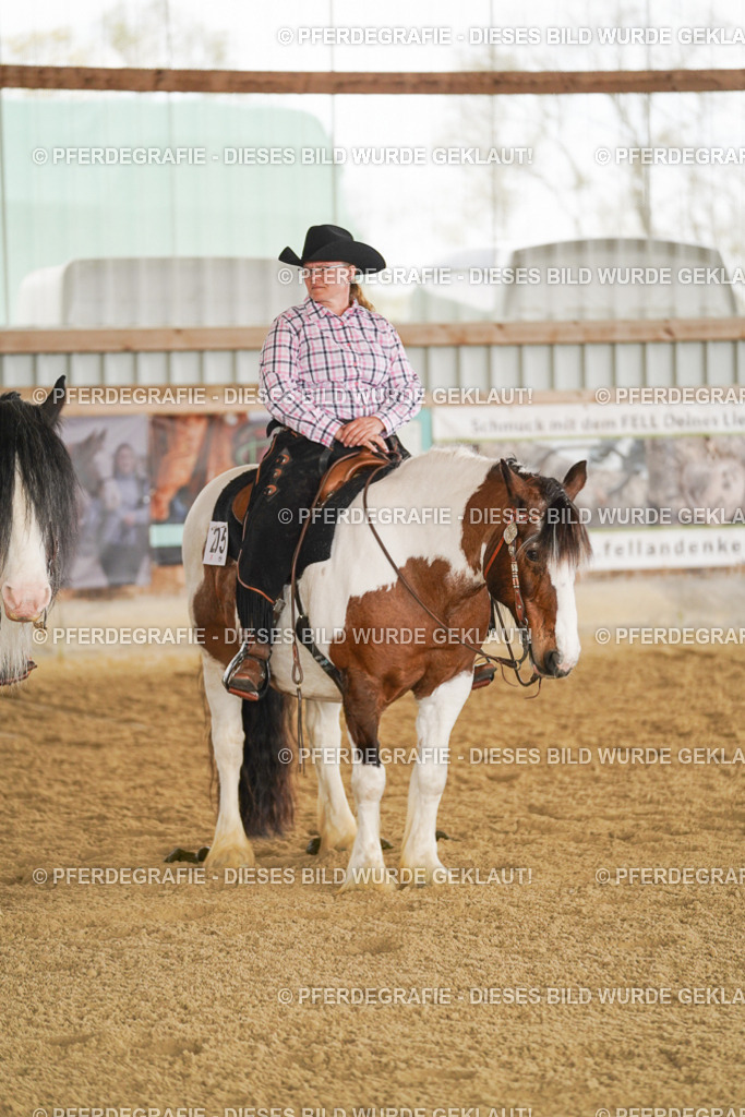 DSC03280 | Pferdegrafie