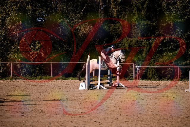 2026_10_03_Siefer-Hof_154542_Z81_64380504 | Professionelle Reitsport-, Turnier- und Eventfotografie von Robert Broda. Galerien mit ausgewählten und bearbeiteten Bildern direkt online ansehen und bestellen.
