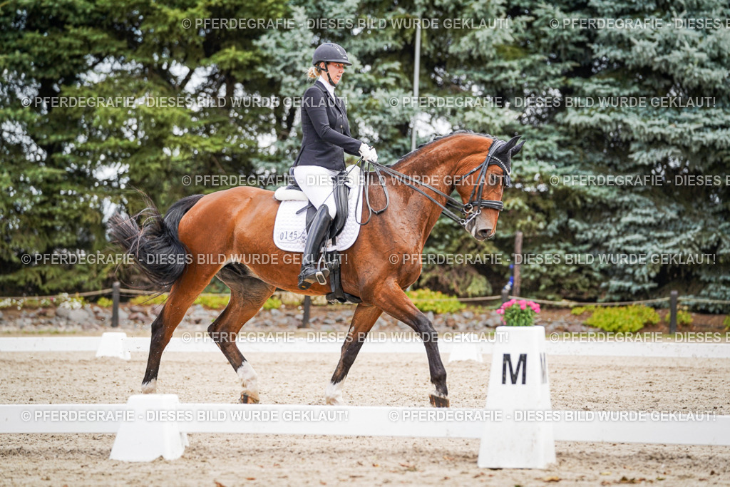 DSC04175 | Pferdegrafie