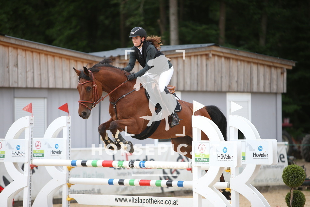 PP012510 | Willkommen bei Brunnmayr - Design & Fotografie – Ihrem Spezialisten für Reitturniere und Pferdeveranstaltungen in Oberösterreich, Salzburg und Bayern! Seit über 17 Jahren sind wir leidenschaftlich dabei.
