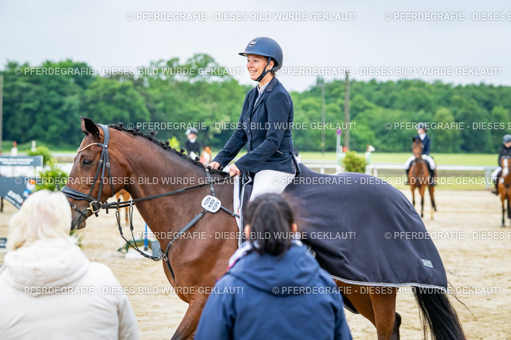 DSC02770 | Pferdegrafie