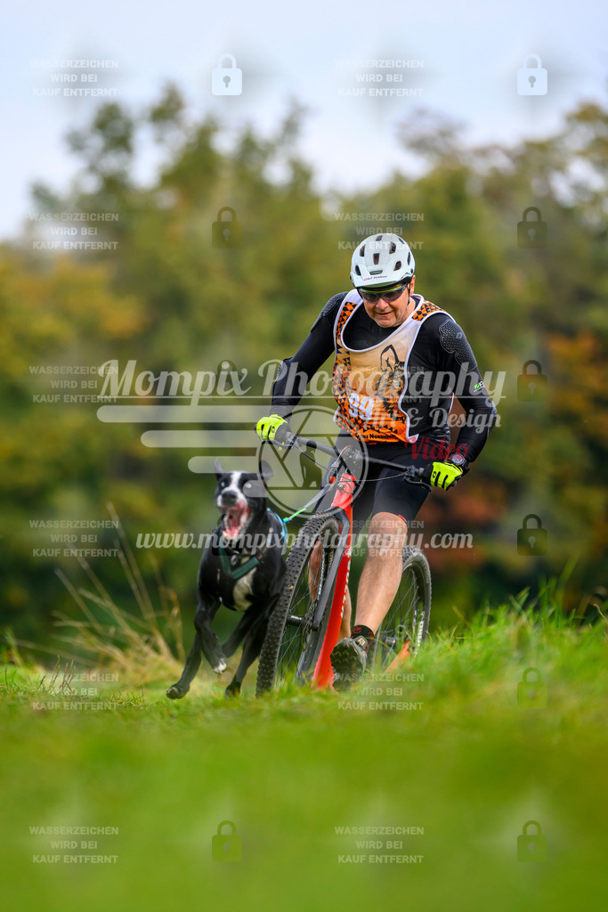 MompixPhotography_CDLBDB2025_DI_DS-50 | PayLife