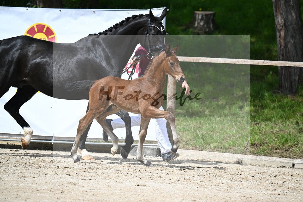 Va Bene x De Niro_HF_Eder_11240670 | hf-fotografie - Realisiert mit Pictrs.com