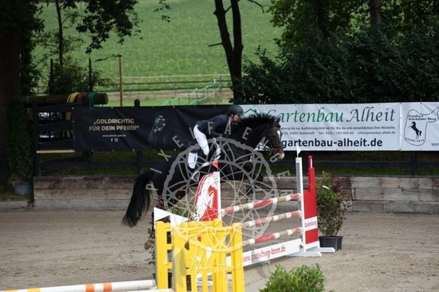 2B4A2124 | pixelfaenger - Realisiert mit Pictrs.com