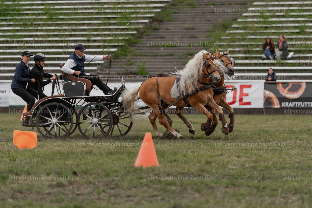 Showprogramm-518 | working equitationturnier fotograf videograf stoibphotography marixx film working equitation deutschland reitsport turnierfotografie eventfotografie equestrian events