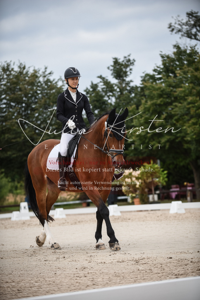 DSC_8245 | Pferde- und Turnierfotografie in Westsachsen. Pferdeportraits, Auftragszeichnungen und intuitive Kunst.