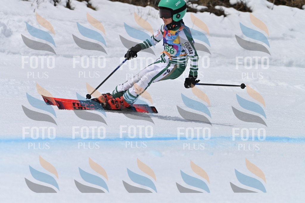 BGV_5291 | holidayphoto