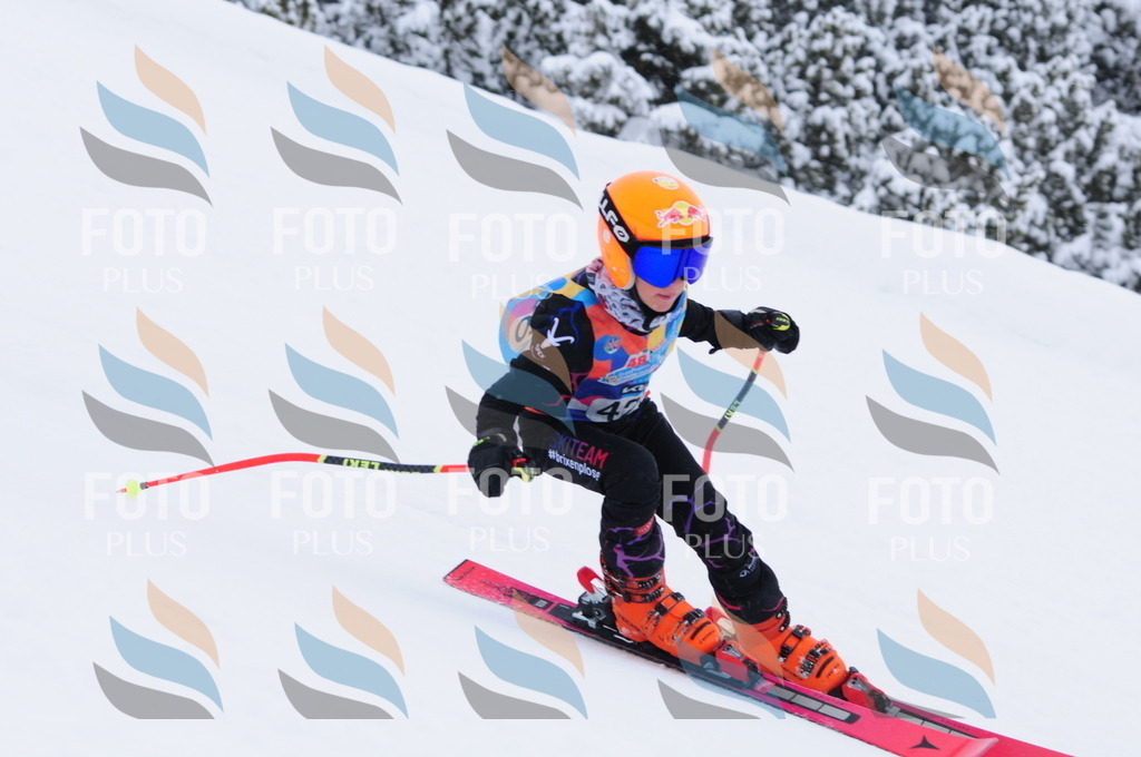 C3430 | holidayphoto