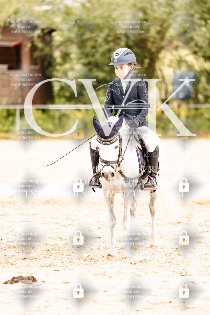 CK904713 | Turnierfotografie Pferdefotografie Trier Rheinland-Pfalz Pferdesport Reitsport Tierfotografie Sportfotografie Pferdevideo Pferdevideografie Equestrianvideography equestrianphotography  - Realisiert mit Pictrs.com