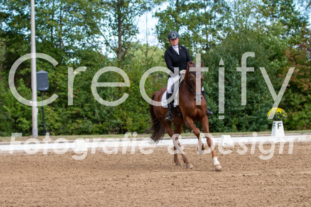 IMG_3783 | Creatify Fotografie