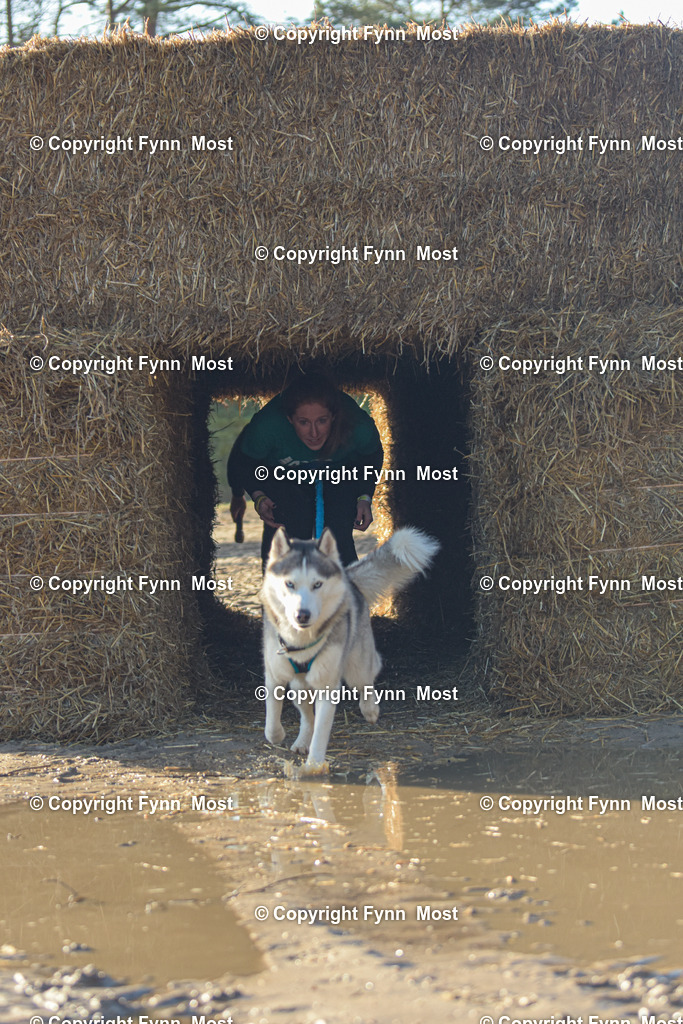 DSC_0325 | Hallo und herzlich Willkommen auf meiner Shop-Seite Fynn Most.

Ich wünsche Dir viel Spaß beim stöbern durch die Bilder, wenn Du Fragen hast oder Bilder vermisst, kannst du mir gerne eine Nachricht schreiben. - Realisiert mit Pictrs.com