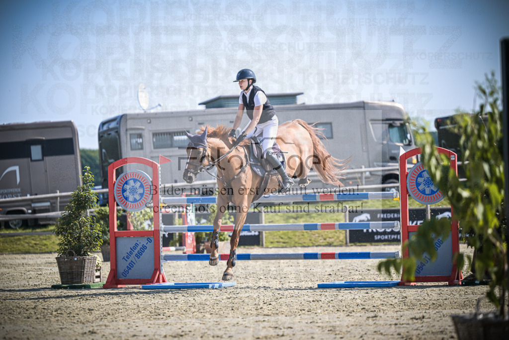 DOS_2347 | Entdecke hochwertige Reitturnierfotos von Foto Oger. Professionell, emotional und authentisch – jetzt Lieblingsmomente im Shop bestellen.Deutschlandweite Turnierfotografie. - Realisiert mit Pictrs.com